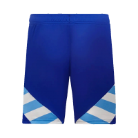 [Super Replica] Men's Argentina Away Kit Copa America 2024